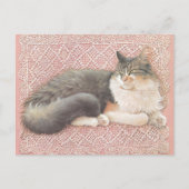 CAT PAINTED POSTCARD POSTKARTE (Vorderseite)