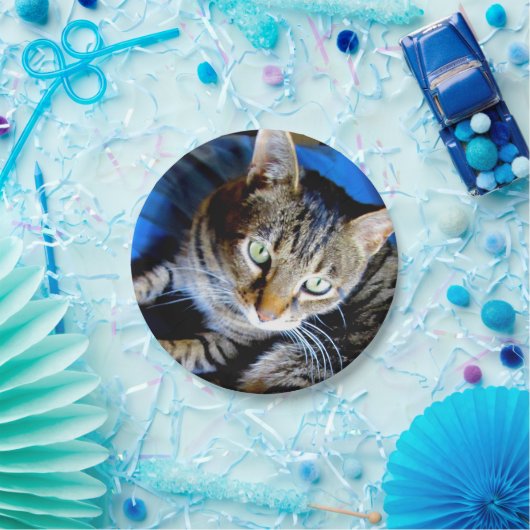 Cat Paper-Teller Pappteller (Party)
