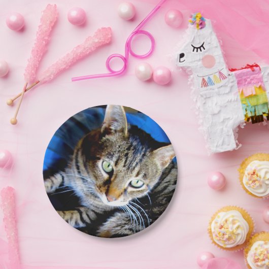 Cat Paper-Teller Pappteller (Party)