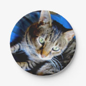 Cat Paper-Teller Pappteller (Vorderseite)