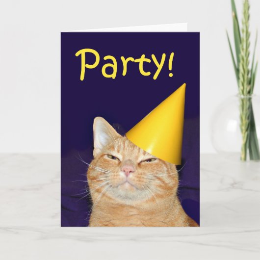 Cat-Party Einladung (Vorderseite)
