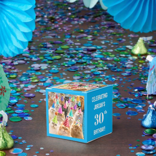 Cat Party Geschenkschachtel (Party)