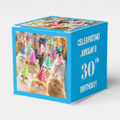 Cat Party Geschenkschachtel (Vorderseite)