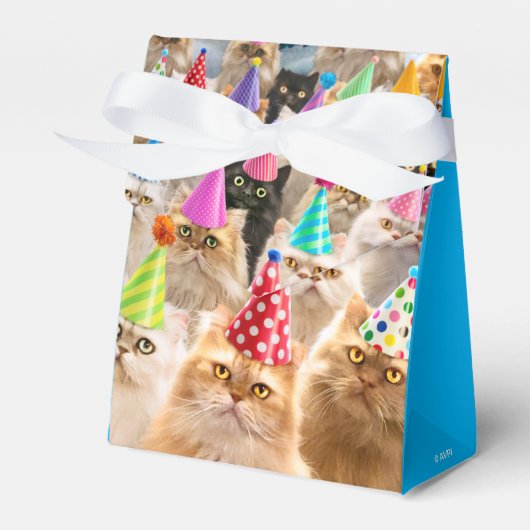 Cat Party Geschenkschachtel (Vorderseite)