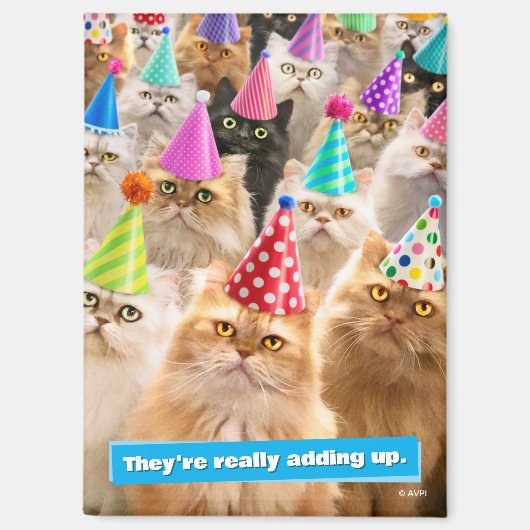 Cat Party Magnet (Vorderseite)