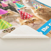 Cat Party Sherpadecke (3/4)