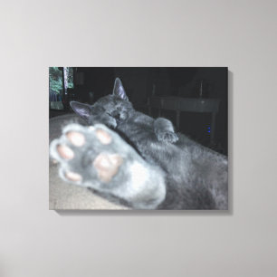 Cat Paw 20"x16" Stretched Canvas Print Leinwanddruck