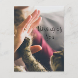 Cat Paw, die fünf Hochglanzarten verleiht Postkarte