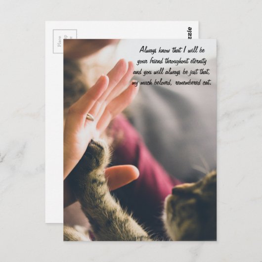 Cat Paw High-Five Postkarte (Vorne/Hinten)