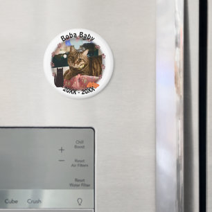 Cat Paw Prints Foto Magnet