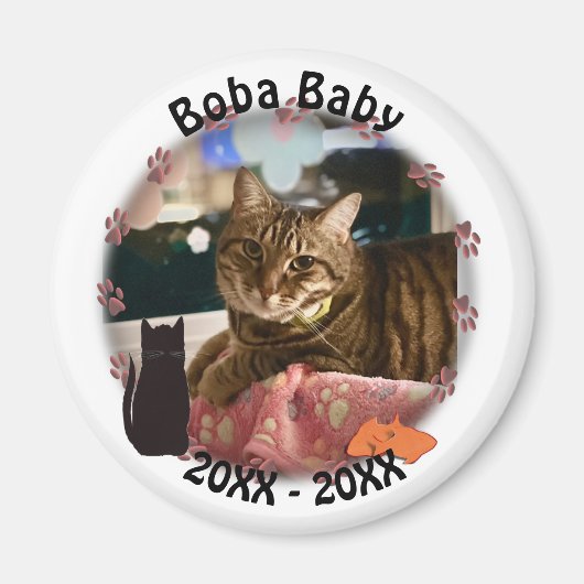 Cat Paw Prints Foto Magnet (Vorne)