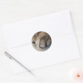 Cat Paw Stickers (Umschlag)