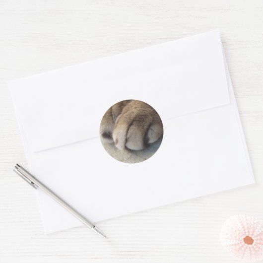 Cat Paw Stickers (Umschlag)