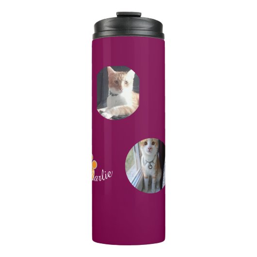 Cat Pawprint Humor Cat Photo Thermosbecher (Vorderseite)