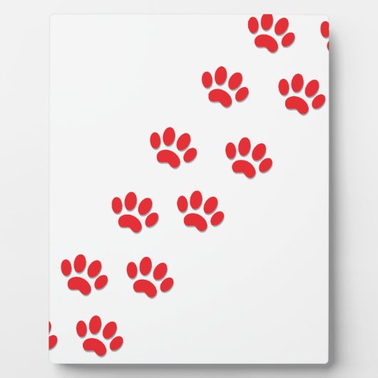 Cat Paws Feet Fotoplatte (Vorderseite)