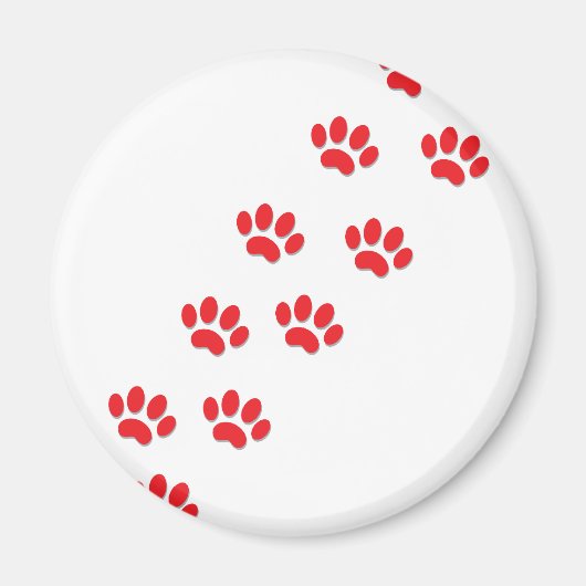 Cat Paws Magnet (Vorne)