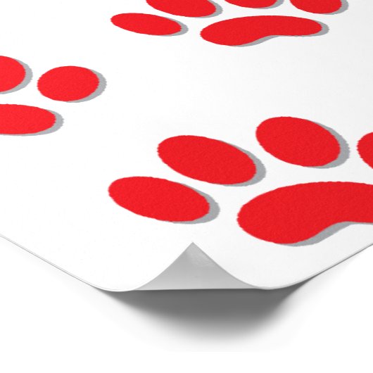 Cat Paws Poster (Ecke)