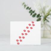 Cat Paws Postkarte (Stehend Vorderseite)