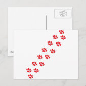 Cat Paws Postkarte (Vorne/Hinten)