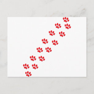 Cat Paws Postkarte