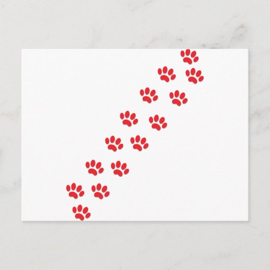 Cat Paws Postkarte (Vorderseite)