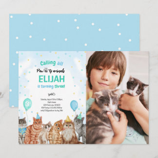 Cat Pawty Animals Junge Geburtstag Foto Einladung
