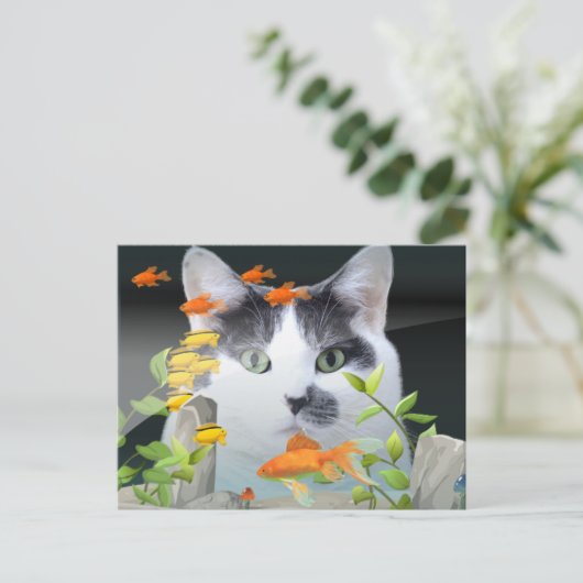 Cat Peering in Fish Tank Postkarte (Stehend Vorderseite)
