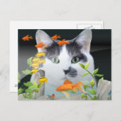 Cat Peering in Fish Tank Postkarte (Vorne/Hinten)