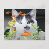 Cat Peering in Fish Tank