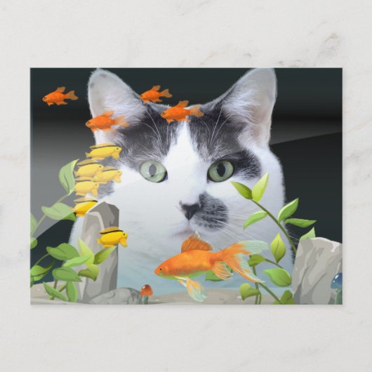 Cat Peering in Fish Tank Postkarte (Vorderseite)