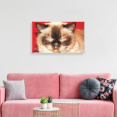CAT PERSIAN SLEEEPED STRETCHED LEINWAND (Insitu (Wohnzimmer))