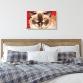 CAT PERSIAN SLEEEPED STRETCHED LEINWAND (Insitu (Schlafzimmer))