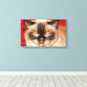 CAT PERSIAN SLEEEPED STRETCHED LEINWAND (Insitu (Holzboden))