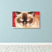 CAT PERSIAN SLEEEPED STRETCHED LEINWAND (Insitu (Holzboden))