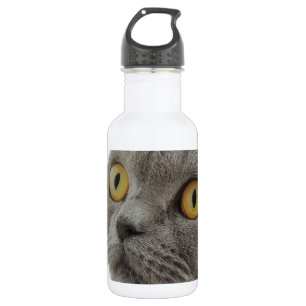 Cat Pet Animal Grumpy Frown Peace Liebe Destiny Edelstahlflasche
