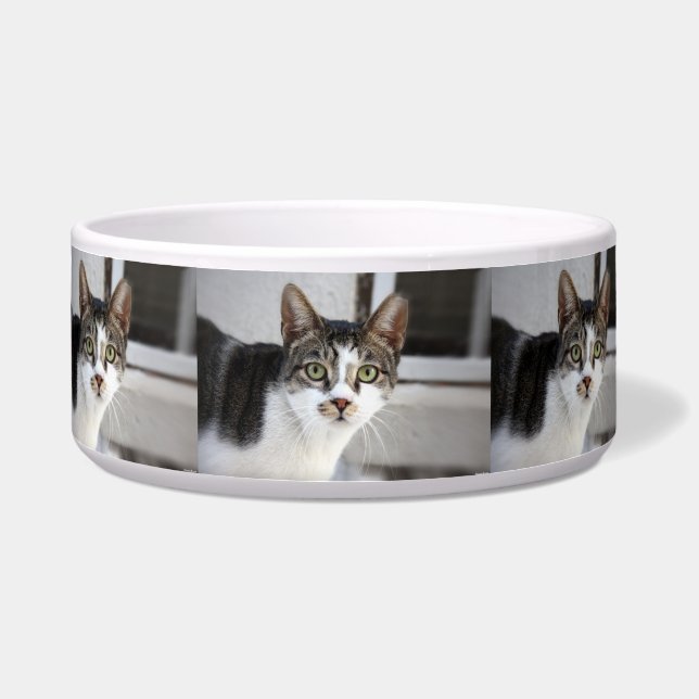Cat Pet Bowl Napf (Vorderseite)