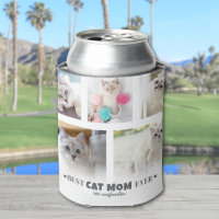 Cat Pet Foto