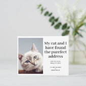 Cat Pet Foto Neue Adresse Moderne Moderne Ankündigungspostkarte (Stehend Vorderseite)