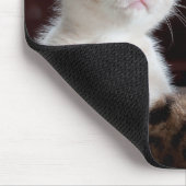 Cat Pet Foto Personalisiert Mousepad (Ecke)