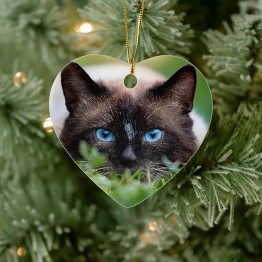 Cat Pet Memorial mit Name und Foto Keramik Ornament (Baum)