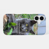 cat phone case iPhone 16 hülle (Rückseite (Horizontal))