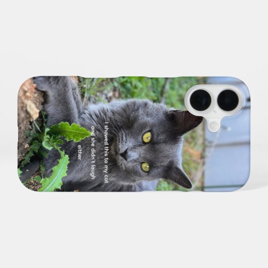 cat phone case iPhone 16 hülle (Rückseite (Horizontal))