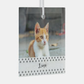 Cat Photo Holiday Keepsake for Pet Lovers Ornament Aus Glas (Vorderseite Rechts)