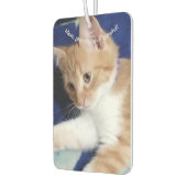 Cat Photo Text, Mom Drive Careful, Customize, Autolufterfrischer (Links)