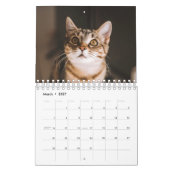 Cat Photos Make Your PAWsome Personalized Calendar Kalender (Mär 2027)
