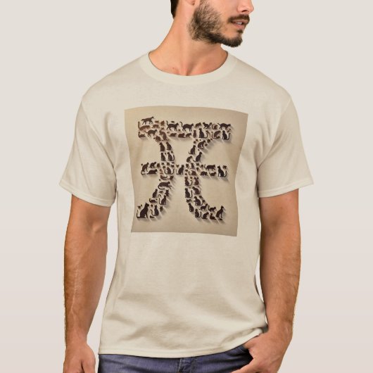 Cat Pi T-Shirt (Vorderseite)