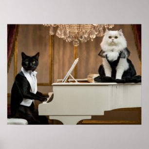 Cat Piano Lounge Act Poster