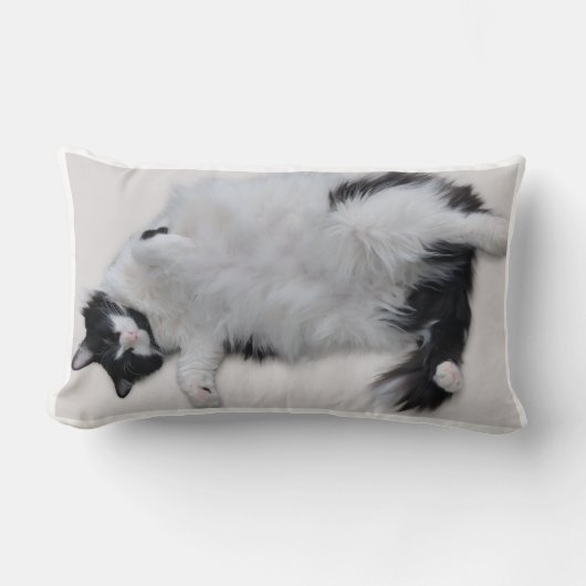 Cat Pillow Lendenkissen (Vorderseite)