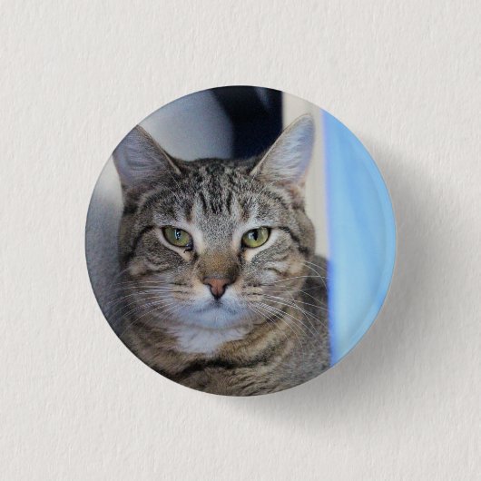 Cat Ping Pong Ball Button (Vorderseite)