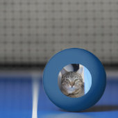 Cat Ping Pong Ball Tischtennisball (Netto)
